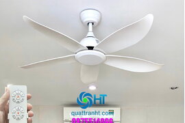 Quạt trần HT phòng ngủ