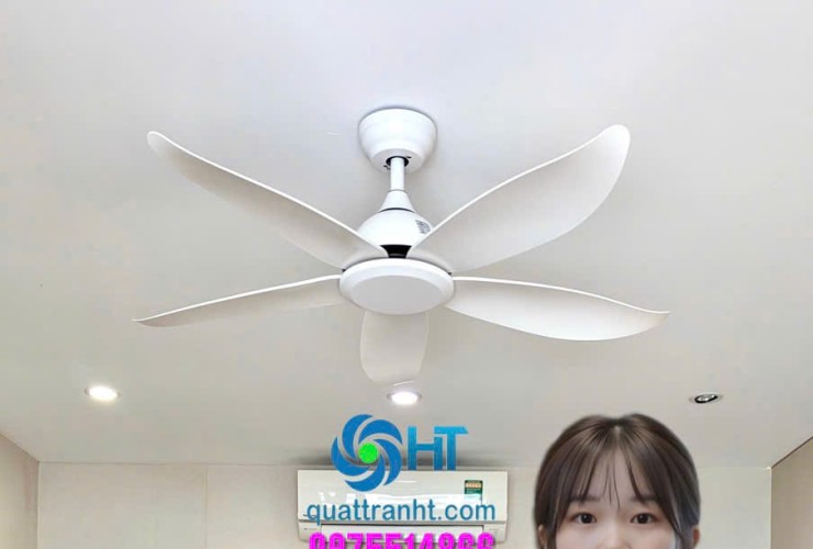 Quạt Trần HT Cho Căn Hộ Vinhomes Ocean Park – Lựa Chọn Thông Minh Cho Cuộc Sống Hiện Đại