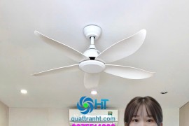 Quạt Trần HT Cho Căn Hộ Vinhomes Ocean Park – Lựa Chọn Thông Minh Cho Cuộc Sống Hiện Đại