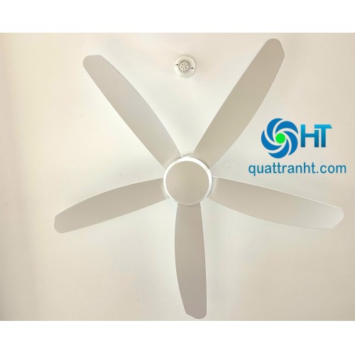 Quạt trần không đèn HTCF-135T5K