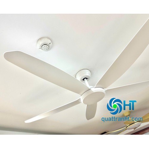 Quạt trần không đèn HTCF-135T5K