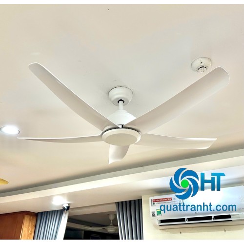 Quạt trần không đèn HTCF-136T6K