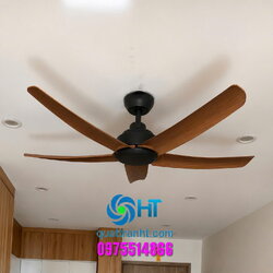 Quạt trần không đèn HTCF-136GN5K