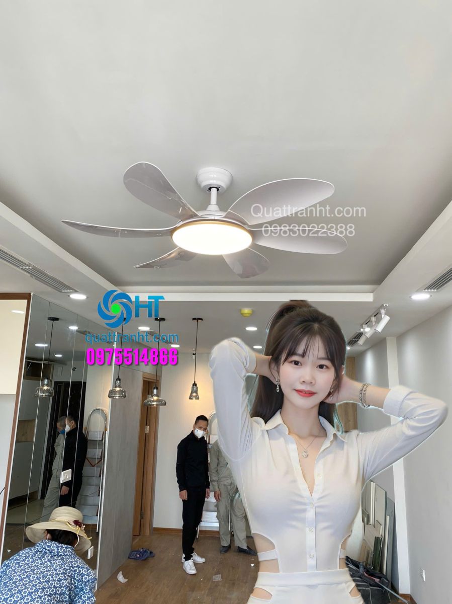 Quạt trần HTCF-119T6